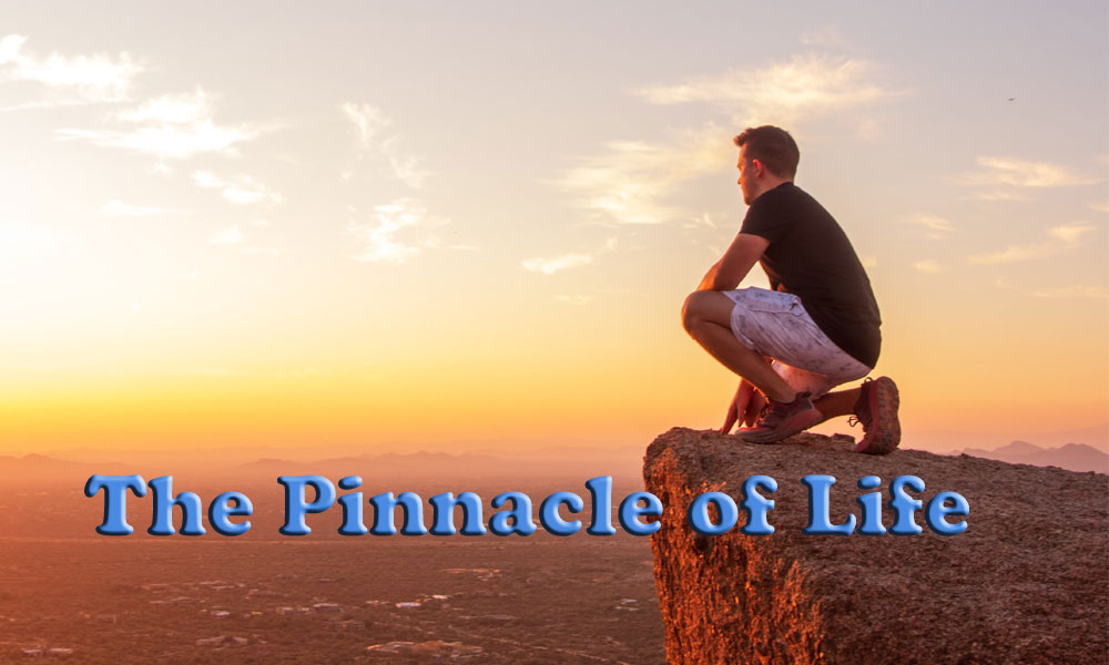 The Pinnacle of Life