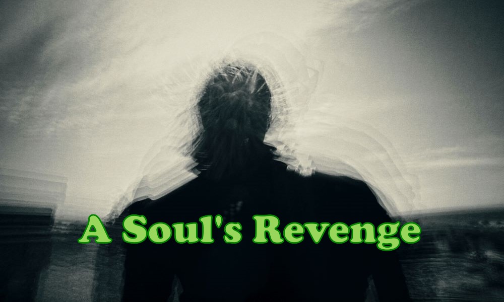 A Soul's Revenge